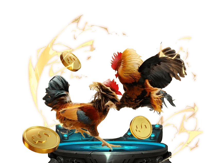 Sân đấu đá gà Thomo và luật lệ